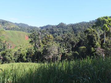 Madagascar 2018, Landscape