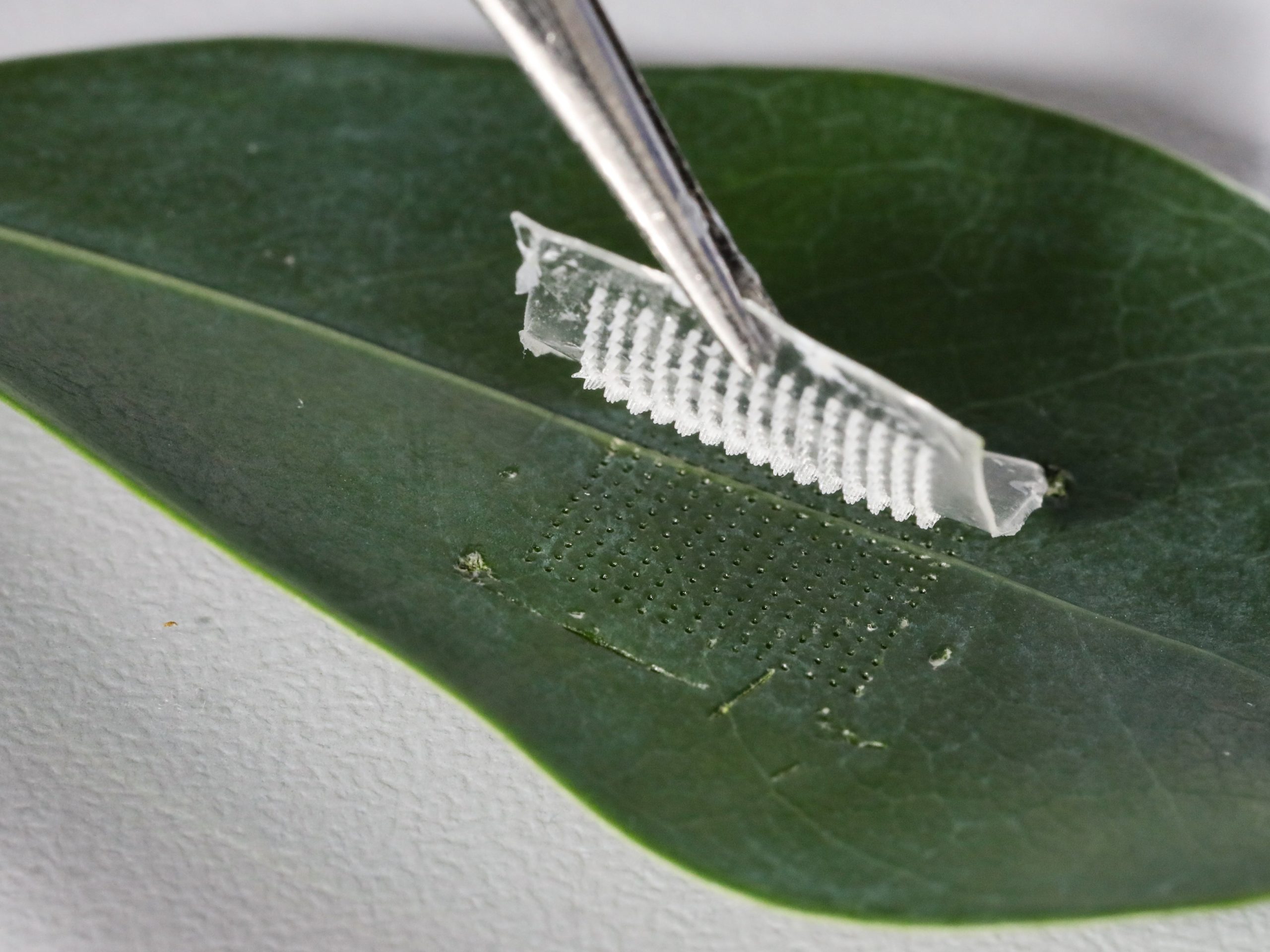 Microneedle