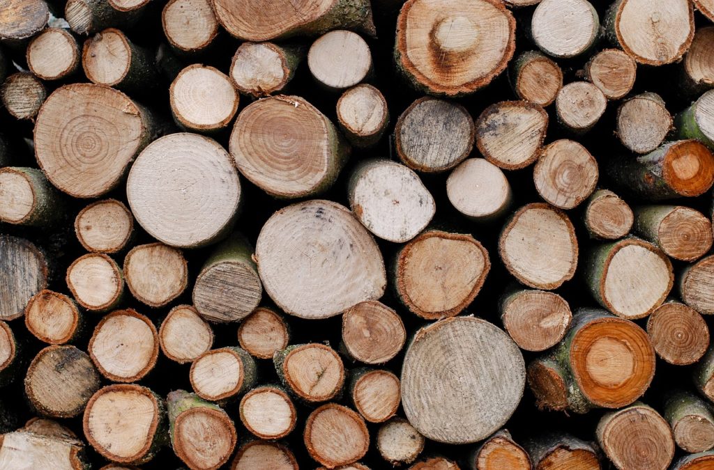 trees, lumber, timber